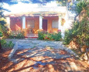 Exterior view of House or chalet for sale in Castellón de la Plana / Castelló de la Plana  with Private garden, Terrace and Swimming Pool