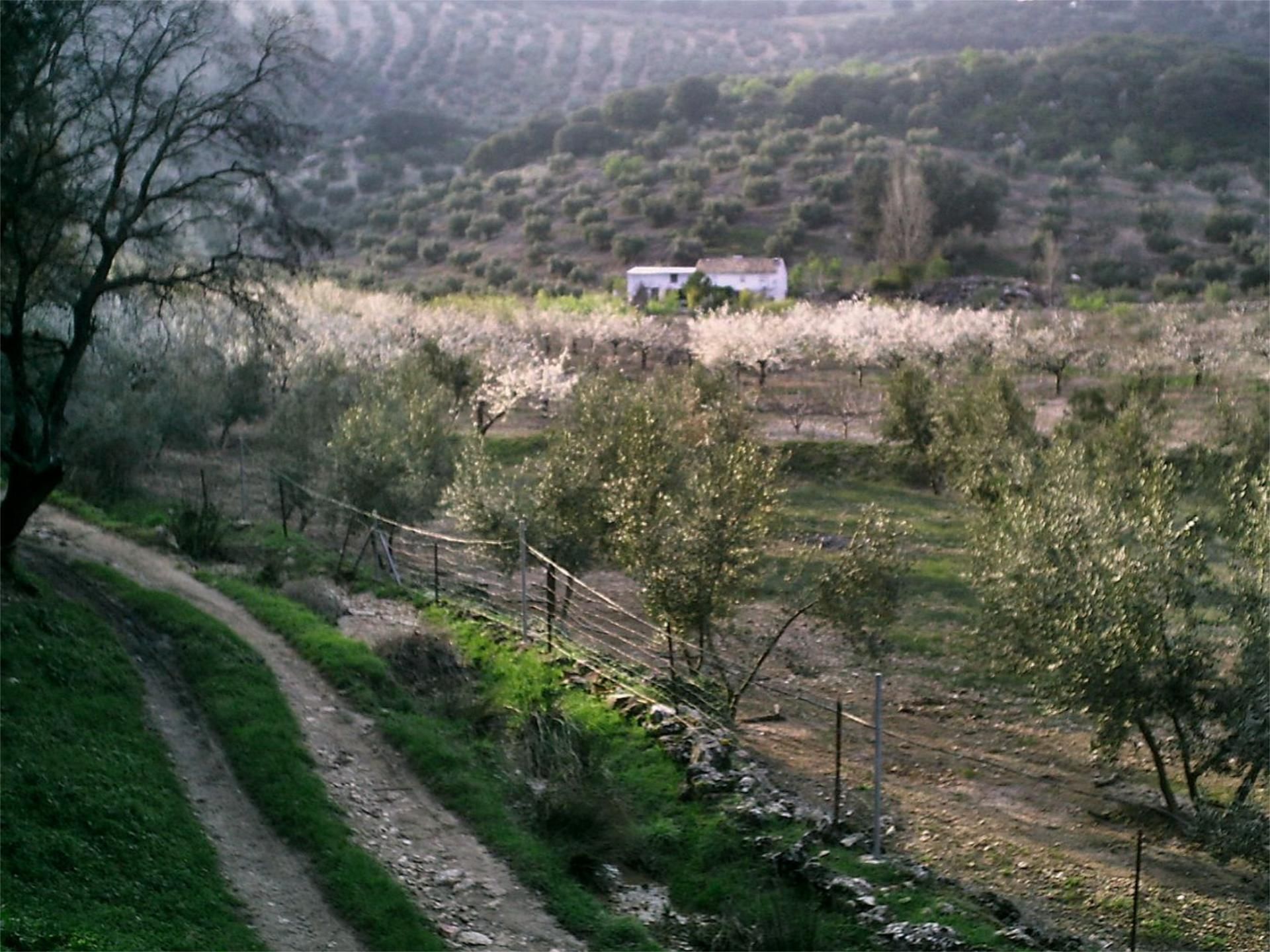 Garten von Country house zum verkauf in Valdepeñas de Jaén mit Privatgarten, Schwimmbad und Möbliert