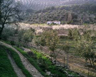 Jardí de Finca rústica en venda en Valdepeñas de Jaén amb Jardí privat, Piscina i Moblat