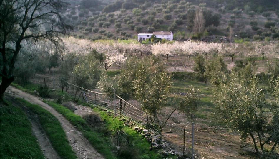Finca rústica en venda a Valdepeñas de Jaén, Jaén - imatge 1 Foto 1 de Finca rústica en venda a Valdepeñas de Jaén, Jaén