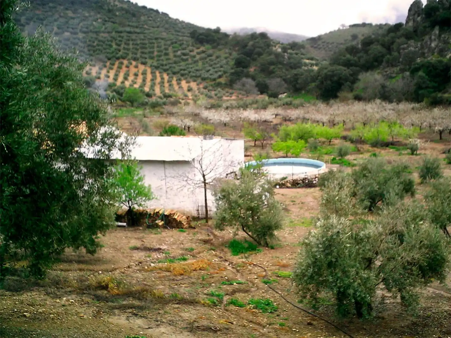 Finca rústica en venda a Valdepeñas de Jaén Jardí de Finca rústica en venda en Valdepeñas de Jaén amb Piscina
