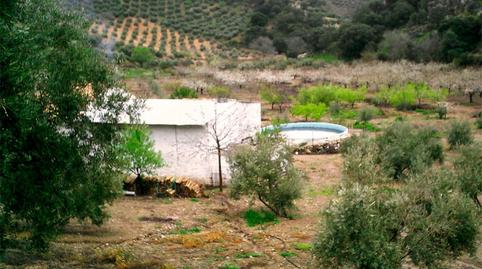 Finca rústica en venda a Valdepeñas de Jaén, Jaén - imatge 3 Foto 3 de Finca rústica en venda a Valdepeñas de Jaén, Jaén
