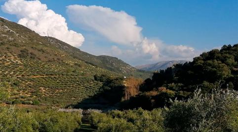 Finca rústica en venda a Valdepeñas de Jaén, Jaén - imatge 4 Foto 4 de Finca rústica en venda a Valdepeñas de Jaén, Jaén