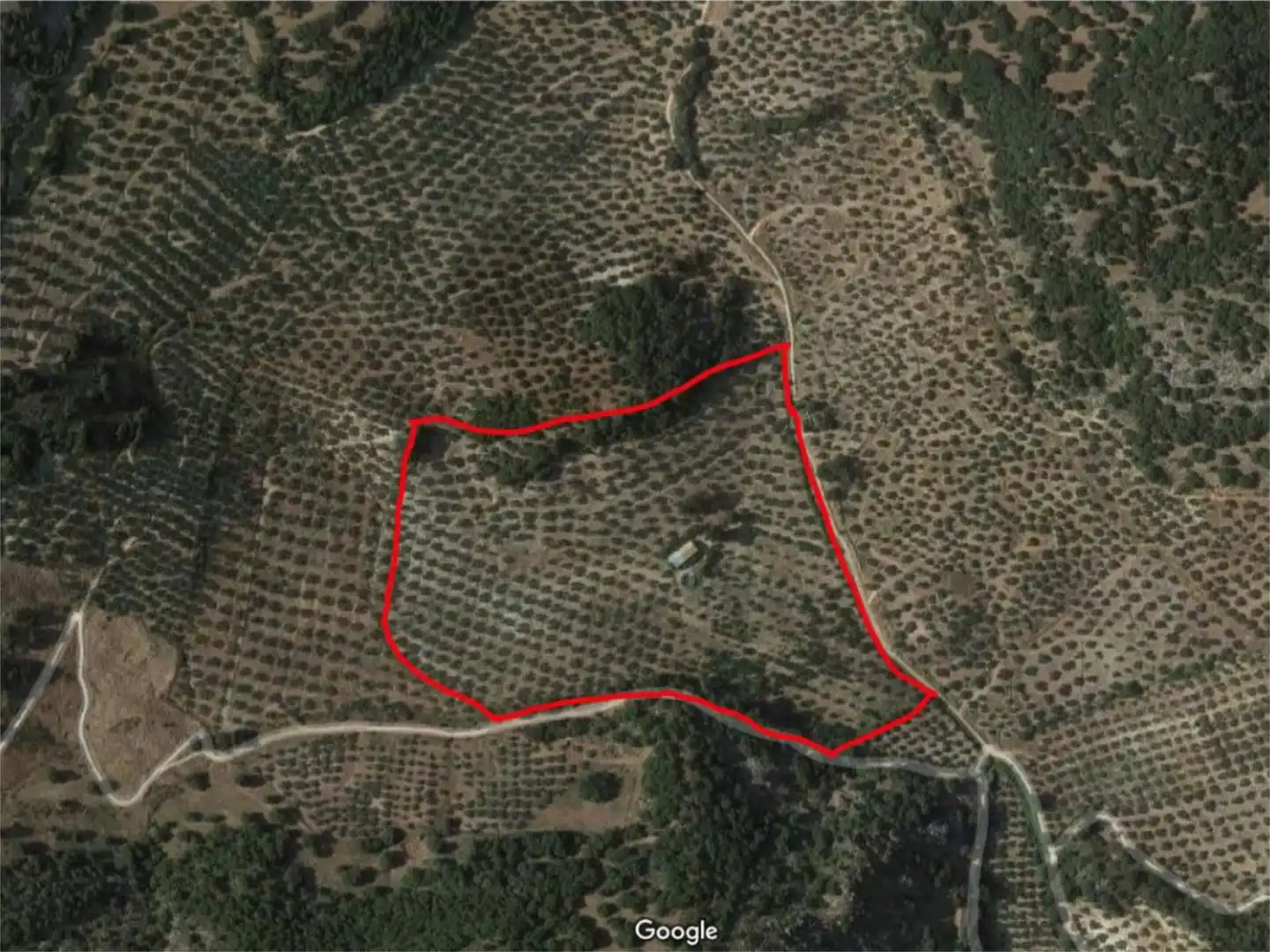 Finca rústica en venda a Valdepeñas de Jaén Finca rústica en venda en Valdepeñas de Jaén amb Piscina