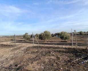 Finca rústica en venda en Lillo