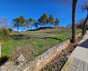 Land for sale in Belmonte de Tajo