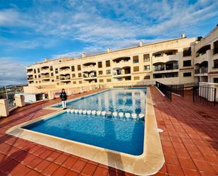 Swimming pool of Flat to rent in  Murcia Capital  with Terrace, Swimming Pool and Balcony