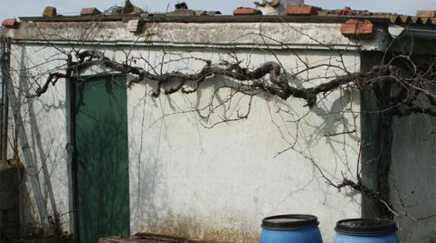 Foto 2 de Terreny en venda a Calle Cordel de la Isla, 14, Santovenia de Pisuerga, Valladolid