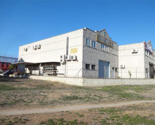 Vista exterior de Nau industrial de lloguer en Mairena del Aljarafe amb Aire condicionat