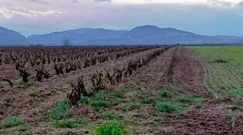 Photo 3 of Premises to rent in Calle Joaquín Michel, 85, Murillo de Río Leza, La Rioja