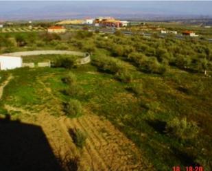 Finca rústica en venda en Diezma amb Piscina