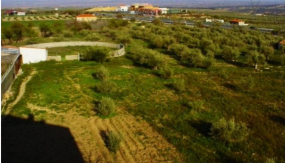 Foto 1 de Finca rústica en venda a Camino de la Peza, 23, Diezma, Granada