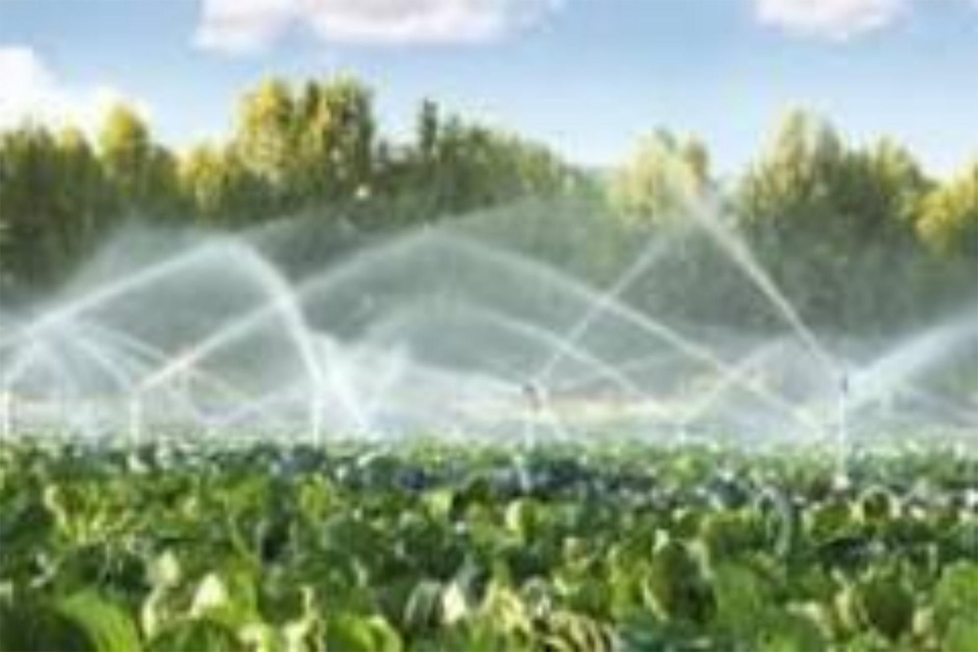 Garden of Land for sale in Sanchonuño