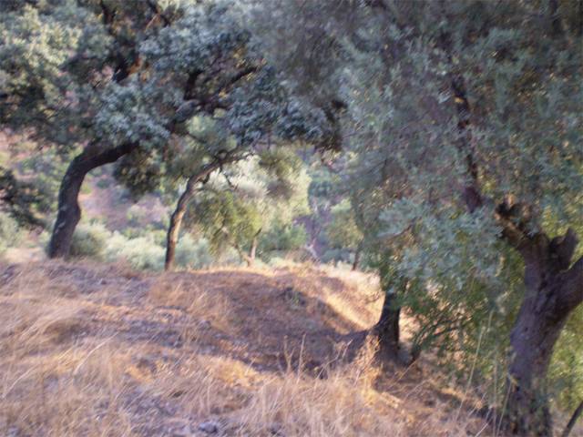 Terreno no urbanizable en Venta en Calle Real, 3 en Genalguacil