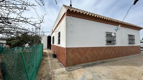 Foto 4 de Finca rústica en venda a Carretera de Chipiona, 1, Las Palmeras - Dehesilla, Cádiz
