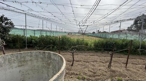 Foto 5 de Finca rústica en venda a Carretera de Chipiona, 1, Las Palmeras - Dehesilla, Cádiz