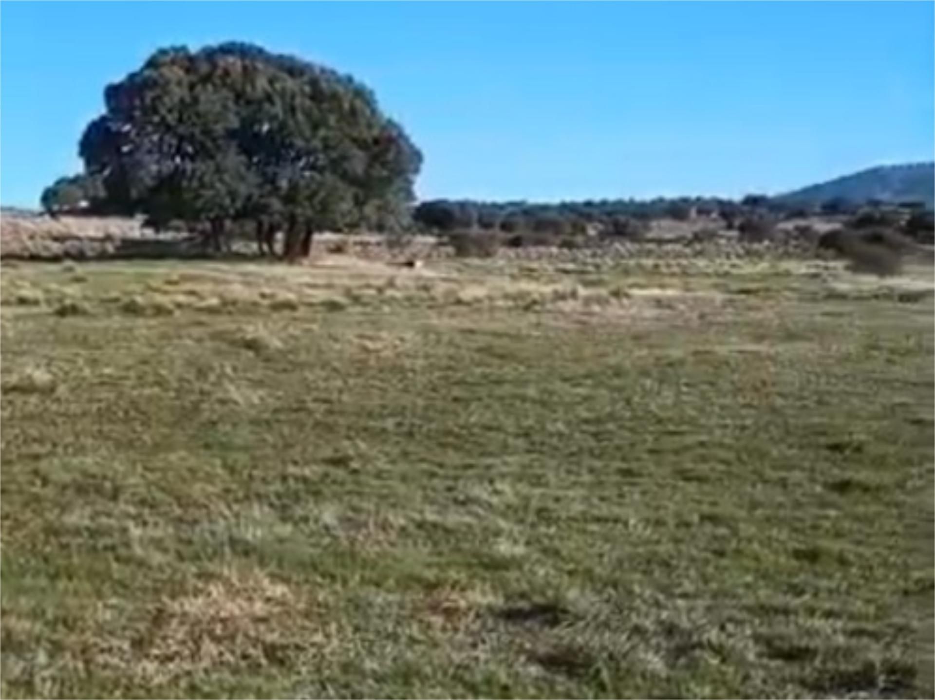 Non-constructible Land for sale in Navas de San Antonio