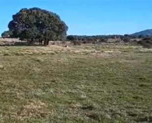 Non-constructible Land for sale in Navas de San Antonio