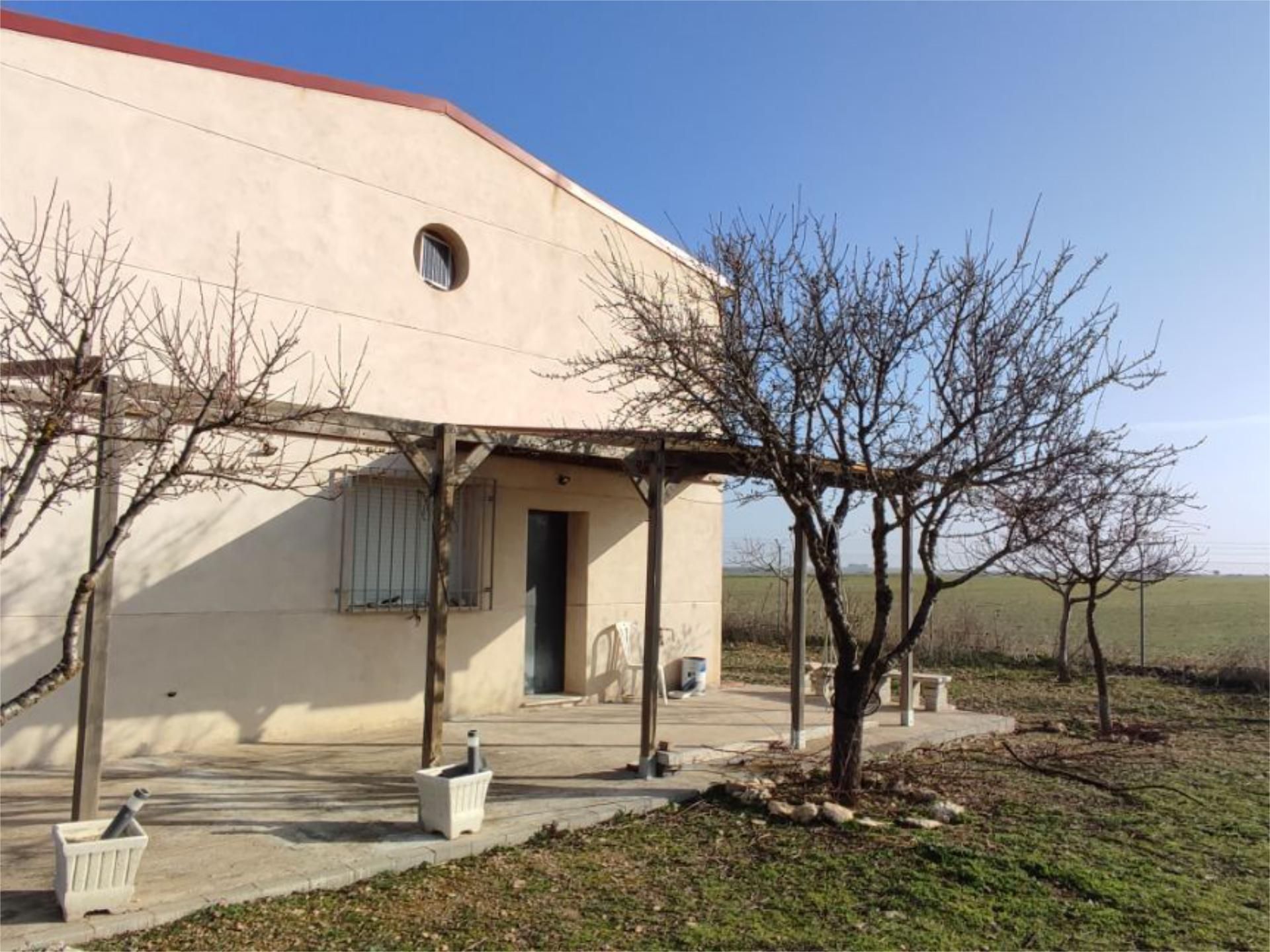Exterior view of Non-constructible Land for sale in Carrión de Calatrava