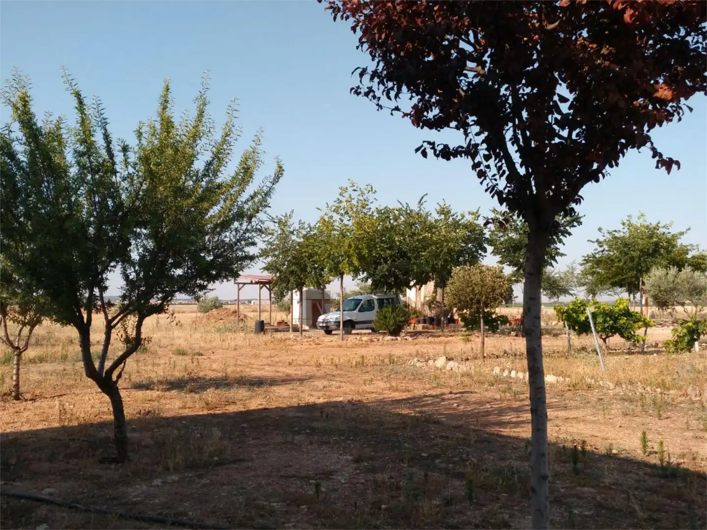 No Urbanitzable en venda a CR-2111, 2, Carrión de Calatrava No Urbanitzable en venda en Carrión de Calatrava