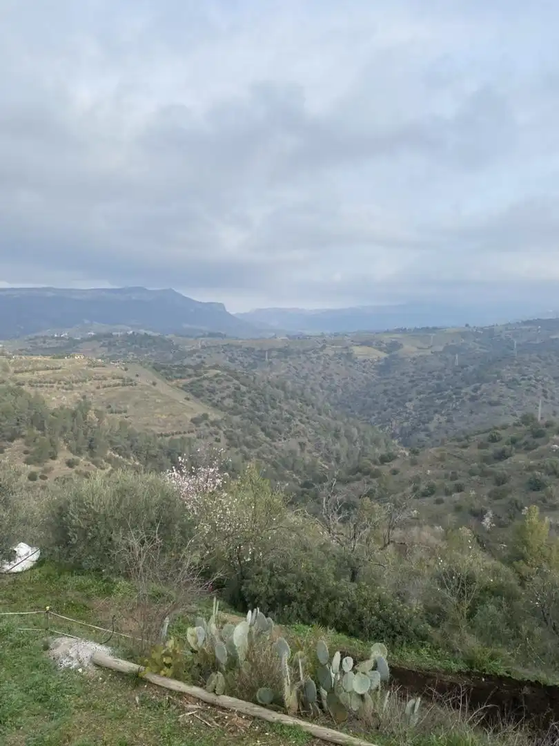 Apartamento en venta en de les Flors, 4, Bellmunt del Priorat Apartamento en venta en Bellmunt del Priorat con Aire acondicionado, Calefacción y Terraza