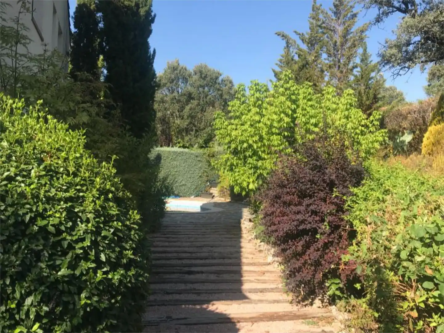 Houses for rent in Calle Tucanes, 4, Molino de la Hoz Garden of Houses for rent in Las Rozas de Madrid