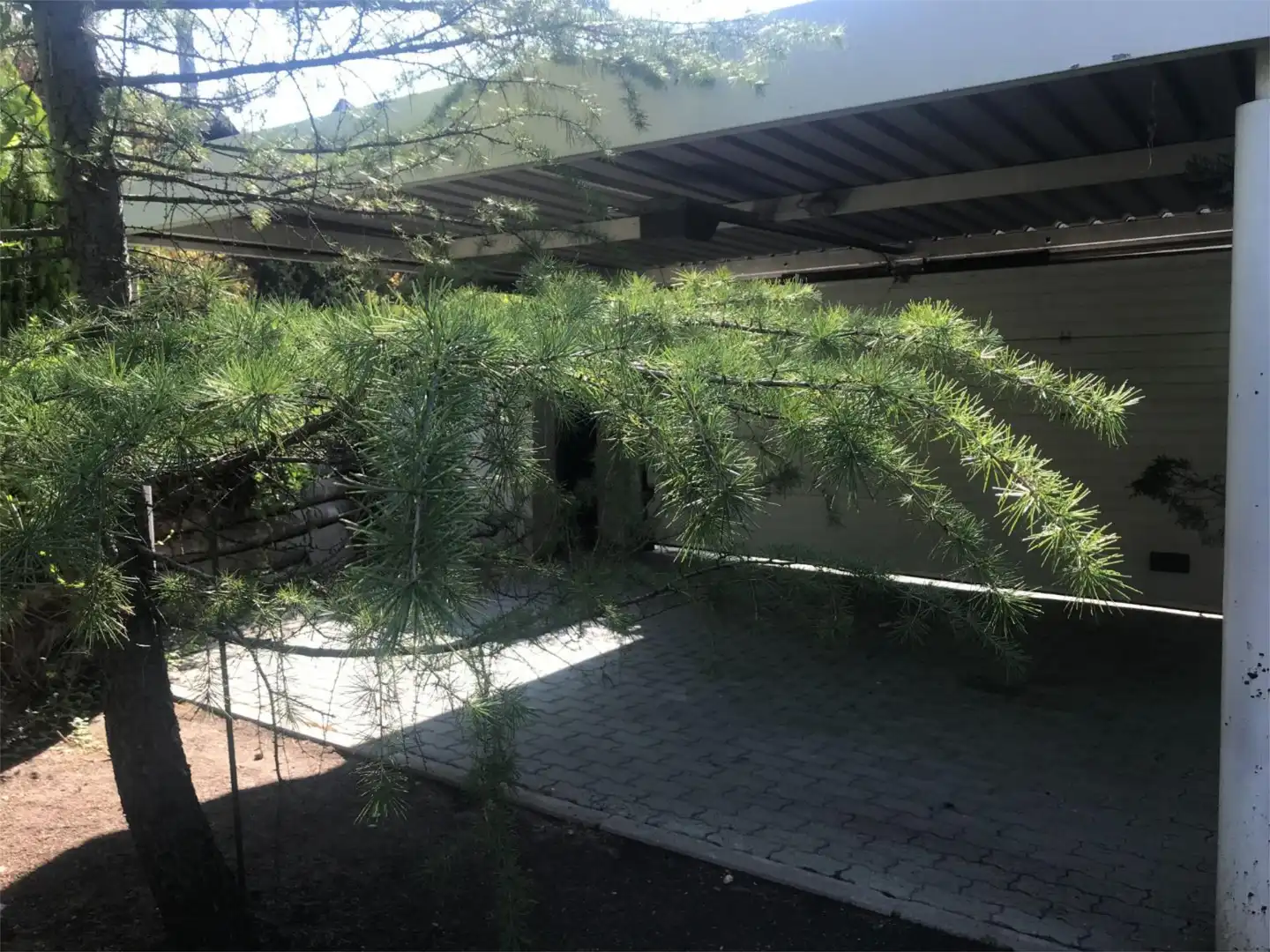 Houses for rent in Calle Tucanes, 4, Molino de la Hoz Exterior view of Houses for rent in Las Rozas de Madrid