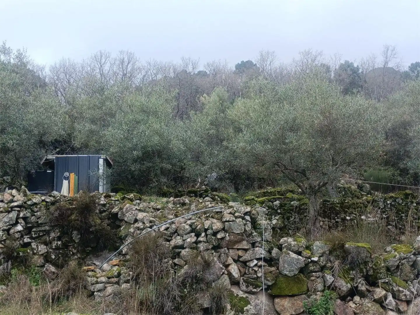 Terreno en venta en Avenida de la Almenara, 31, Gata Terreno en venta en Gata