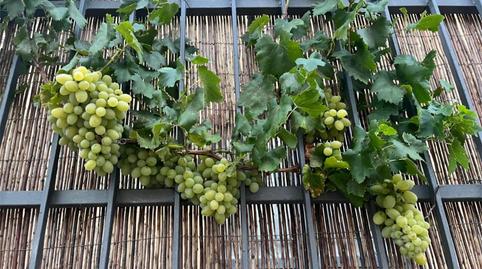 Single-family semi-detached for sale in Calle del Medio, 3, Tartanedo, Guadalajara - image 3 Photo 3 of Single-family semi-detached for sale in Calle del Medio, 3, Tartanedo, Guadalajara