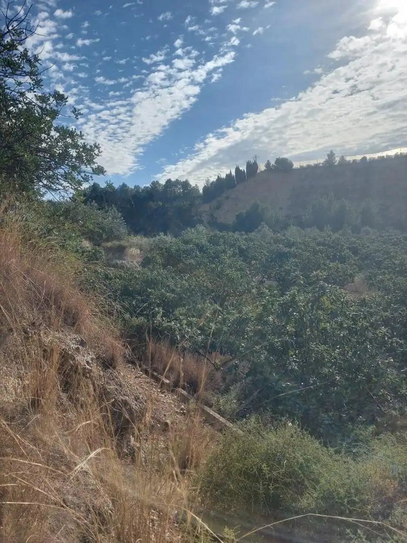 Finca rústica en venda a Calle La Ofra, 19, Callosa d'en Sarrià Finca rústica en venda en Callosa d'en Sarrià amb Traster