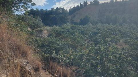 Photo 2 of Country house for sale in Calle la Ofra, 19, Callosa d'en Sarrià, Alicante