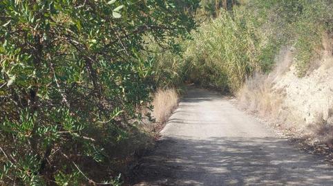 Photo 3 of Country house for sale in Calle la Ofra, 19, Callosa d'en Sarrià, Alicante