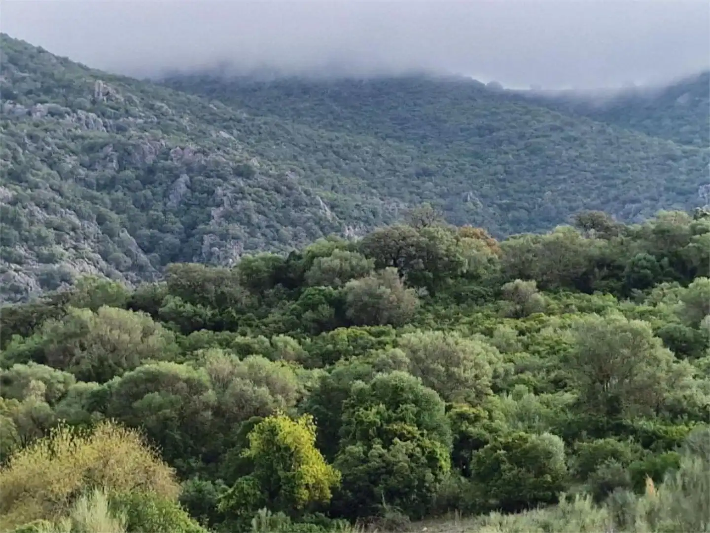 Non-constructible Land for sale in Calle la Malva, 12, El Bosque Exterior view of Non-constructible Land for sale in El Bosque