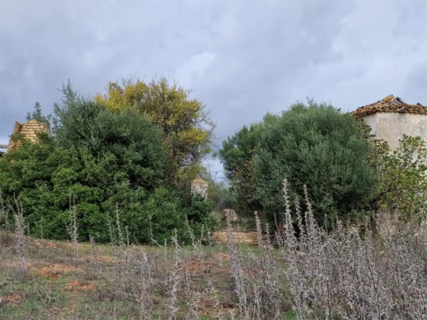 Non-constructible Land for sale in Calle la Malva, 12, El Bosque Non-constructible Land for sale in El Bosque