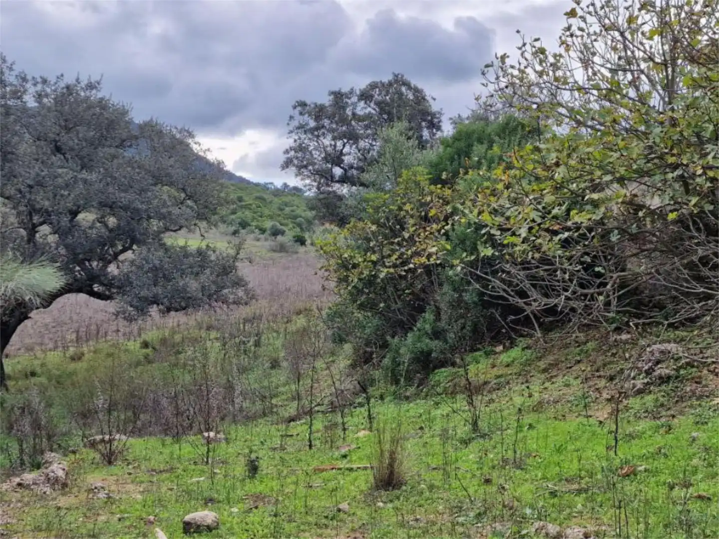 Non-constructible Land for sale in Calle la Malva, 12, El Bosque Non-constructible Land for sale in El Bosque