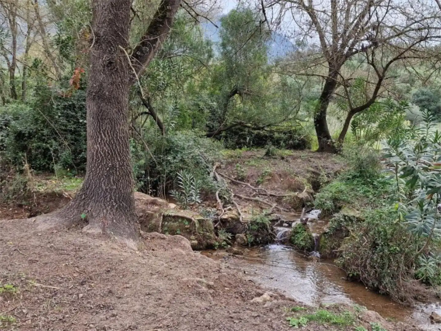 Non-constructible Land for sale in Calle la Malva, 12, El Bosque Exterior view of Non-constructible Land for sale in El Bosque
