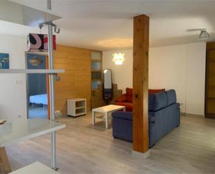 Sala d'estar de Apartament de lloguer en Soria Capital  amb Calefacció, Traster i Moblat