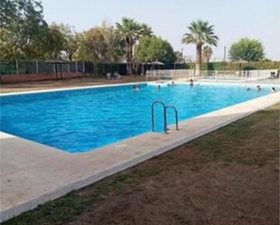 Swimming pool of Flat to rent in San Juan de Aznalfarache  with Heating, Private garden and Terrace