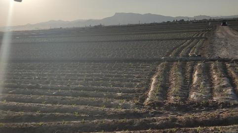 Finca rústica en venta en Diseminado Cazalla, 723, Cazalla, Murcia - imagen 2 Foto 2 de Finca rústica en venta en Diseminado Cazalla, 723, Cazalla, Murcia