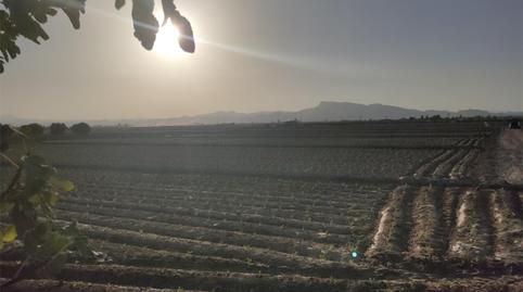 Finca rústica en venta en Diseminado Cazalla, 723, Cazalla, Murcia - imagen 3 Foto 3 de Finca rústica en venta en Diseminado Cazalla, 723, Cazalla, Murcia