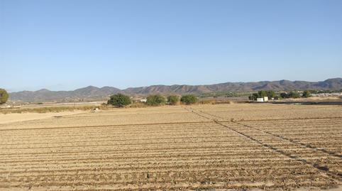Finca rústica en venta en Diseminado Cazalla, 723, Cazalla, Murcia - imagen 4 Foto 4 de Finca rústica en venta en Diseminado Cazalla, 723, Cazalla, Murcia