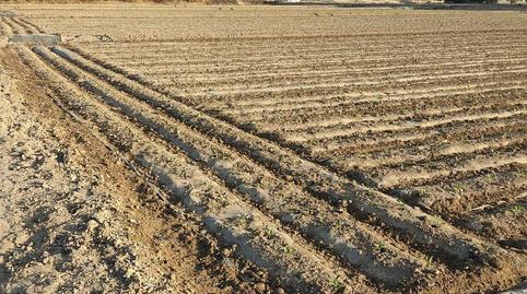 Finca rústica en venta en Diseminado Cazalla, 723, Cazalla, Murcia - imagen 5 Foto 5 de Finca rústica en venta en Diseminado Cazalla, 723, Cazalla, Murcia