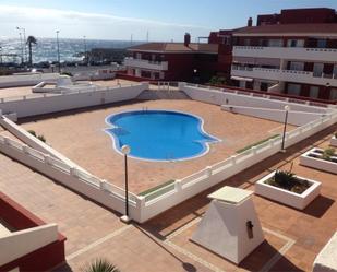 Swimming pool of Flat to rent in Güímar  with Terrace, Swimming Pool and Furnished