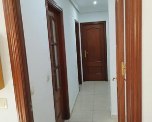 Flat to rent in  Melilla Capital