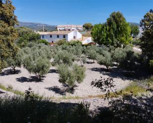 Vista exterior de Finca rústica en venda en Pozo Alcón