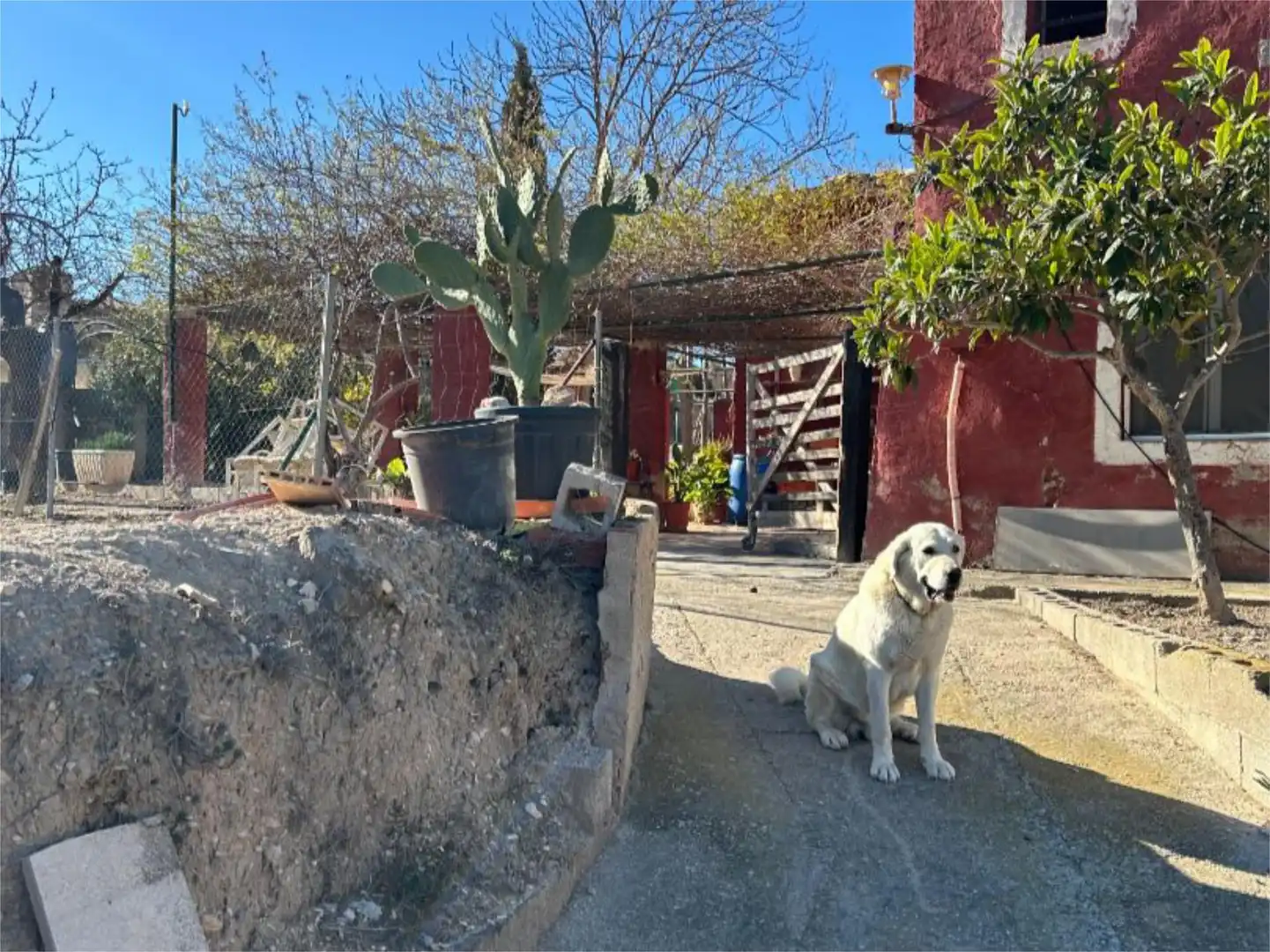 Vista exterior de Finca rústica en venda en Relleu amb Terrassa