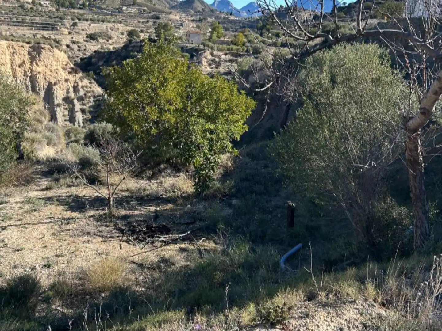 Finca rústica en venda en Relleu amb Terrassa