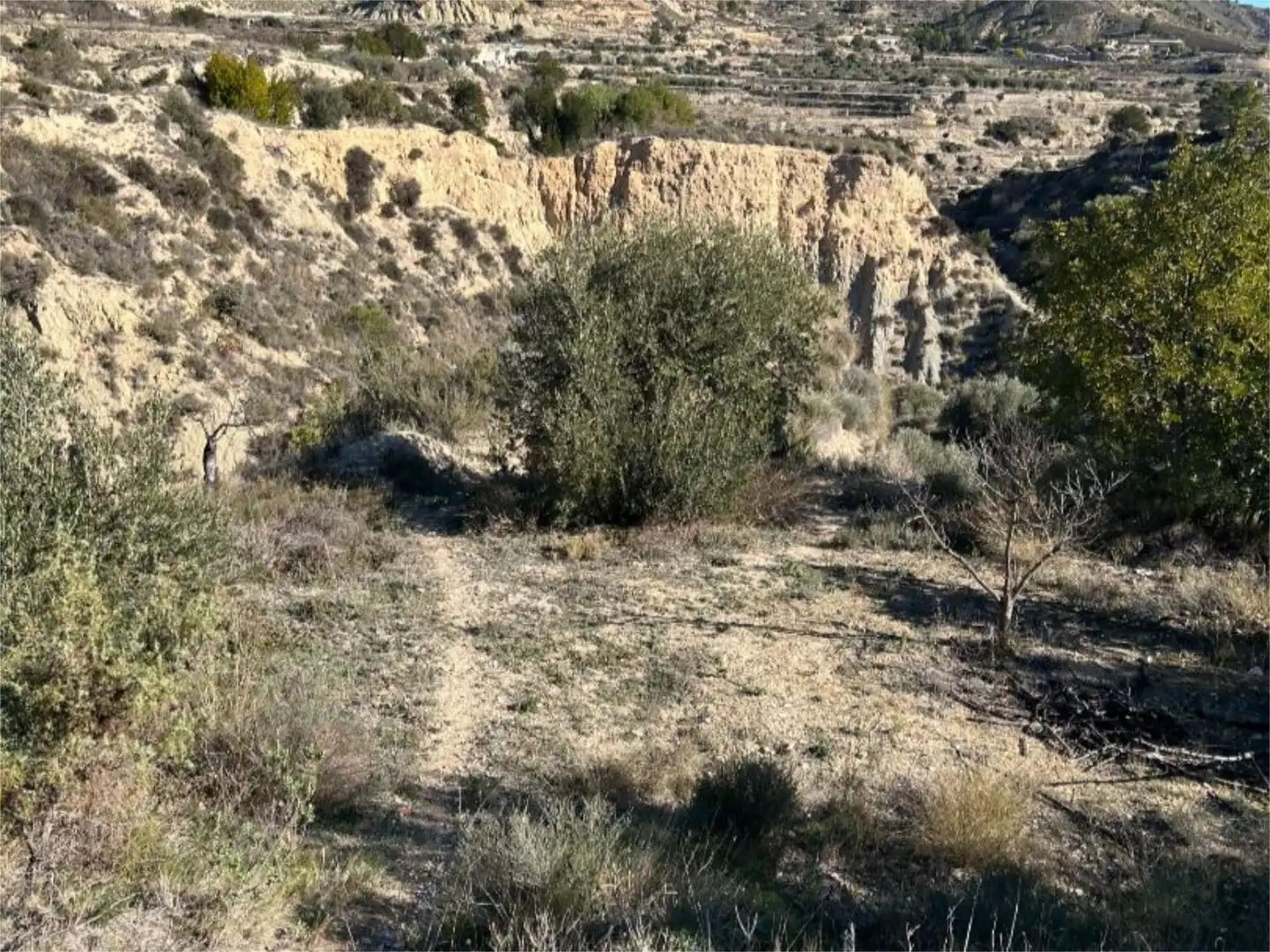 Finca rústica en venda en Relleu amb Terrassa