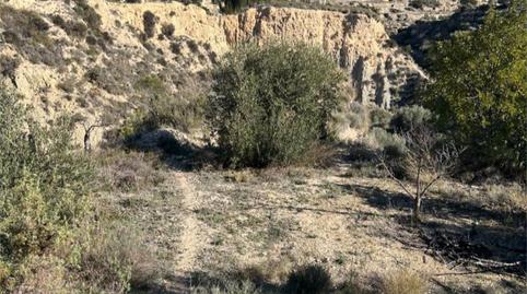 Country house for sale in Partida Senia D'alt, 1, Relleu, Alicante - image 5 Photo 5 of Country house for sale in Partida Senia D'alt, 1, Relleu, Alicante