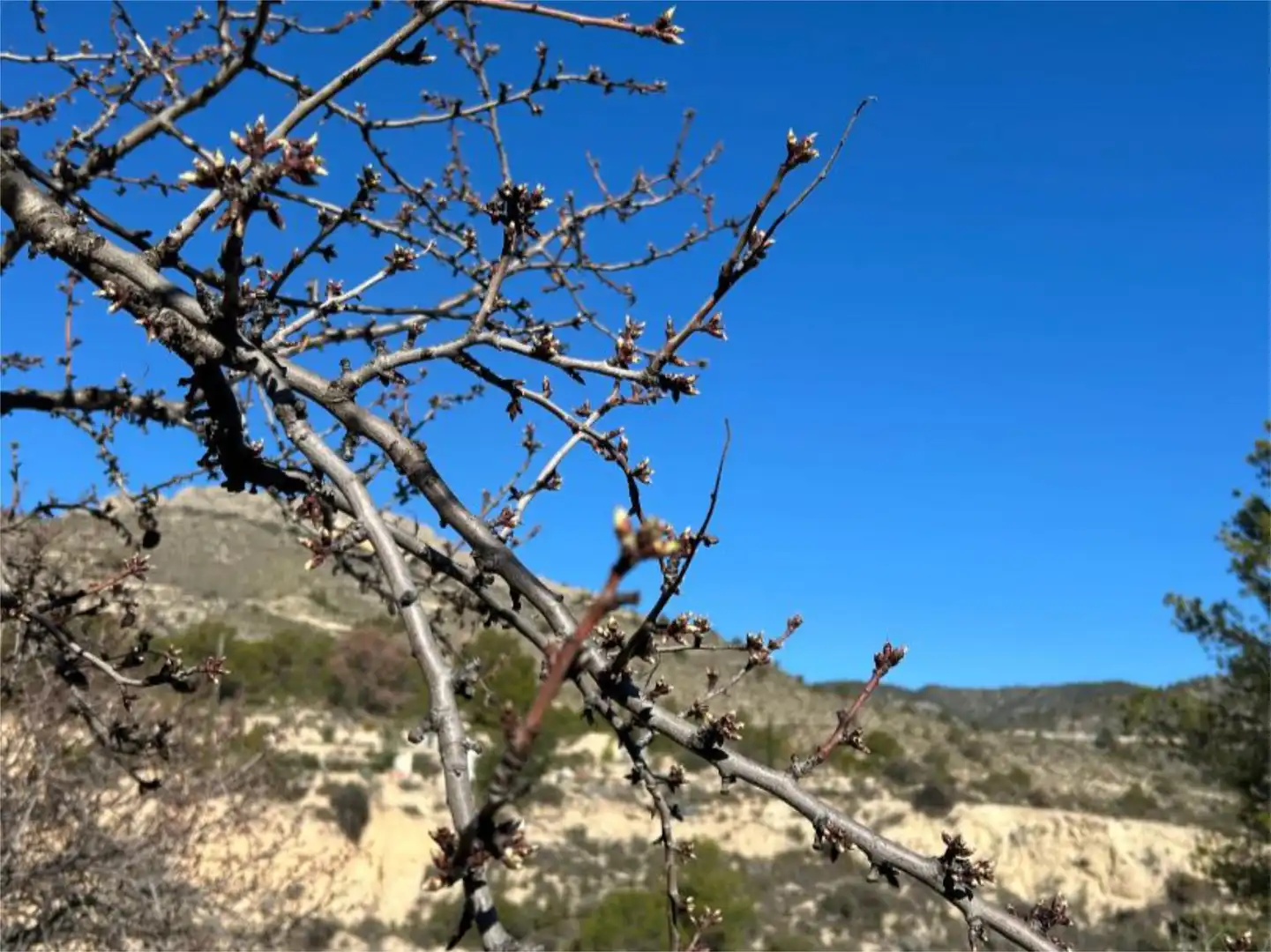 Vista exterior de Finca rústica en venda en Relleu amb Terrassa